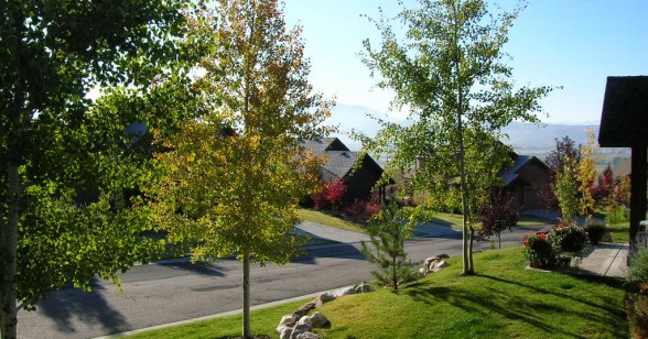 Patio View South